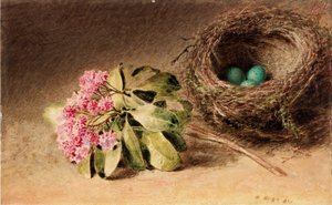 鳥の巣と花（ボディカラー） 作： William Henry Hunt
