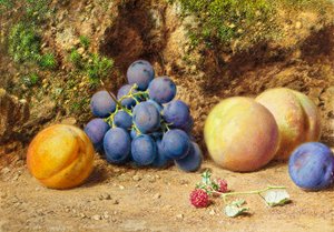 黒ブドウ、桃、アプリコット、ラズベリー、1860年頃 作： William Henry Hunt
