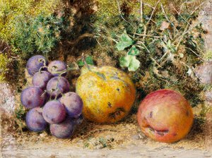 Black Grapes、Quince、and Newtown Pippin、1861（カードにトイレ） 作： William Henry Hunt