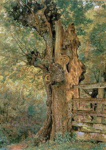 村ポンドの端にあるポラードエルム 作： William Henry Hunt