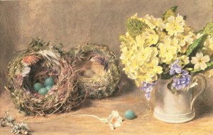 春の花と鳥の巣 1830年頃 （紙に水彩、ボディーカラー） 作： William Henry Hunt