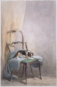 椅子に座る犬の習作（水彩・紙 作： William Henry Hunt