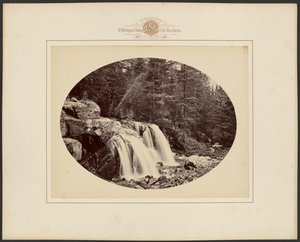  作： William Henry Jackson