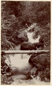  作： William Henry Jackson