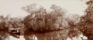 フロリダ州オーモンド近くのトモカにて 作： William Henry Jackson