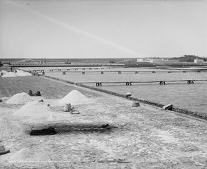 ソルトワークスと精製バット、メキシコ、c.1880-97
