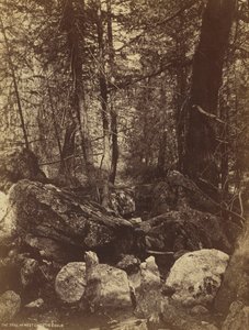 ウェストガラティンカノンの歩道c。 1870年代。 作： William Henry Jackson