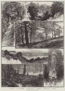 ハイゲートウッズのスケッチ 作： William Henry James Boot