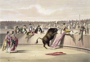 障壁を跳躍する雄牛、1865