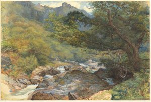 イースト リン、ノース デヴォン 作： William Henry Millais