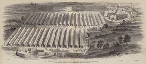 1847年7月20、21、22ノーサンプトンで開催された年次総会でのイギリス王立農業協会の実装および牛ショー