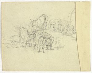 牛（直腸）; シャーラタン (裏面) 作： William Henry Pyne