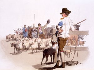 イギリスのコスチュームのパブからの羊と牛の群れ。ヘンリー・ミラー作、1805年（手彩色プリント） 作： William Henry Pyne