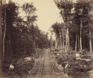 ガノガ・レイク・ブランチ、1895年頃（写真） 作： ウィリアム・ハーマン・ラウ