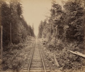 ヘムロックの森1895年（写真） 作： ウィリアム・ハーマン・ラウ