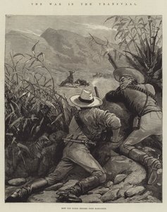 トランスバールでの戦争 作： William Heysham Overend