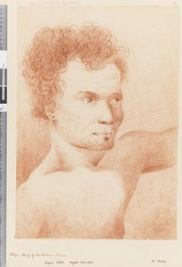 ページ24aオタゴ、アムステルダム島の首長、1768〜75年（赤と白のチョーク） 作： William Hodges