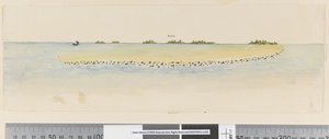 ページ 25b/b ラグーンを示す未確認の太平洋島のプロフィール 作： William Hodges