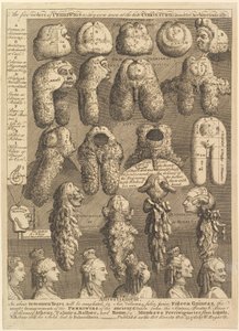 ペリウィッグの5つの秩序、1761年。 作： William Hogarth