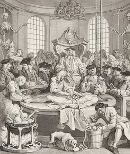 虐待の報い。 From：残酷な四段階-残酷な四段階。 1751 作： William Hogarth