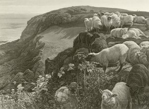 On the hillside (everything)