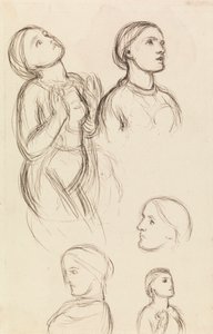 エディス・ホルマン・ハントの研究 作： William Holman Hunt