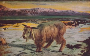 スケープゴート、1856年、c1950。 作： William Holman Hunt