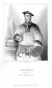 Carolus Linnaeus、スウェーデンの博物学者、1732年19世紀初頭 作： William Home Lizars