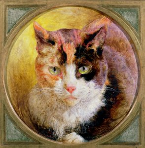 べっ甲猫の頭部研究、1866