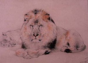 ライオンとライオネス 作： William Huggins