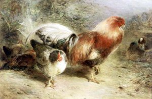 家禽類 作： William Huggins
