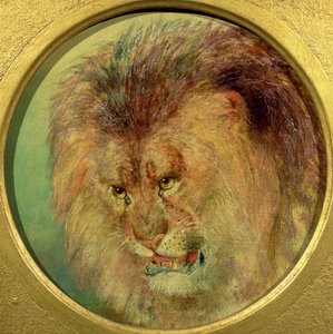 ライオンの研究 作： William Huggins