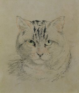 ぶち猫、1874年（紙に鉛筆、クレヨン、木炭） 作： William Huggins