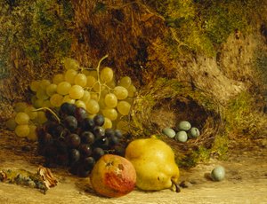 1865年の苔むした銀行のブドウ、リンゴ、梨、鳥の巣 作： William Hughes