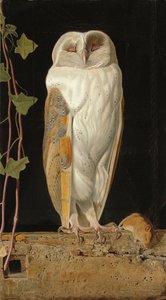 ホワイトフクロウ：「ひとりで彼の5つの知恵を温める、鐘楼の白いフクロウが座っている」、1856年 作： William J. Webbe