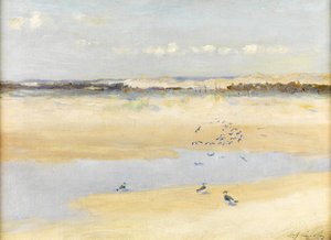 海の上の翼