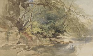 ブリストル近くのステイプルトン ウッドの景色 作： William James Muller
