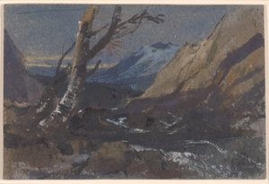  作： William James Muller