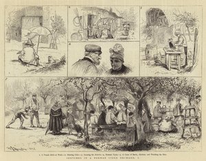 ノーマンサイダーオーチャードのスケッチ、私 作： William John Hennessy