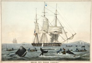 南海クジラ漁業、パブ。 1825（カラーイトグラフ）