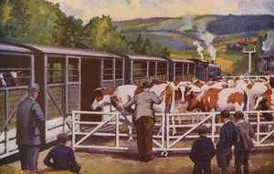 田舎の駅で積み込まれる牛列車（カラーリトグラフ） 作： William John Patton McDowell