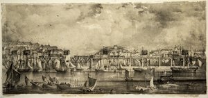 スタンホープとタインドロップの就任式、サウスシールズ、1834年9月 作： William Kidd