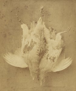 9月1日 作： William Lake Price
