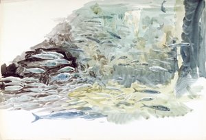 魚の群れの水中写真 作： William Lionel Wyllie
