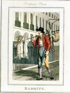 ポートランド・プレイスのウサギ、リチャード・フィリップス（1778-1851）が出版した「Cries of London」より1804年（彫刻）。