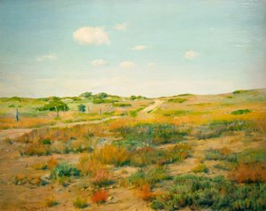 シンネコック・ヒルズ（Shinnecock Hills 作： William Merritt Chase