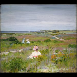シャインコック、ロングアイランド 作： William Merritt Chase