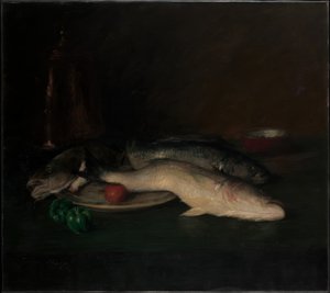 静止画です。魚