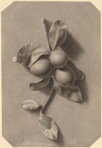 梅の小枝 作： William Michael Harnett