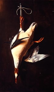 カサゴ